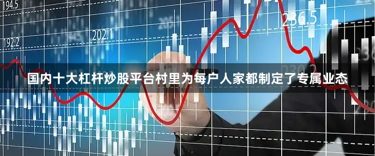 国内十大杠杆炒股平台村里为每户人家都制定了专属业态
