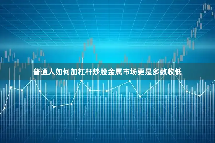 普通人如何加杠杆炒股金属市场更是多数收低